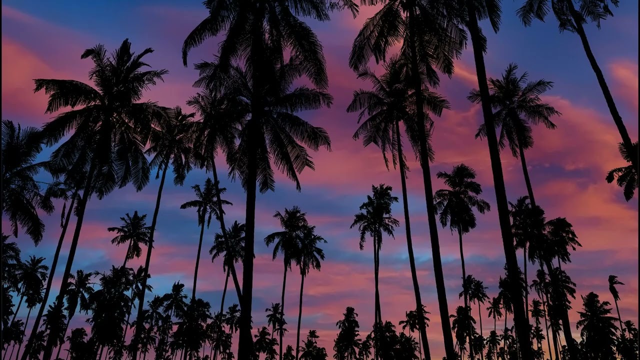 ☕ Lo-Fi Beats for Study | Ders, Kahve, Lo-Fi