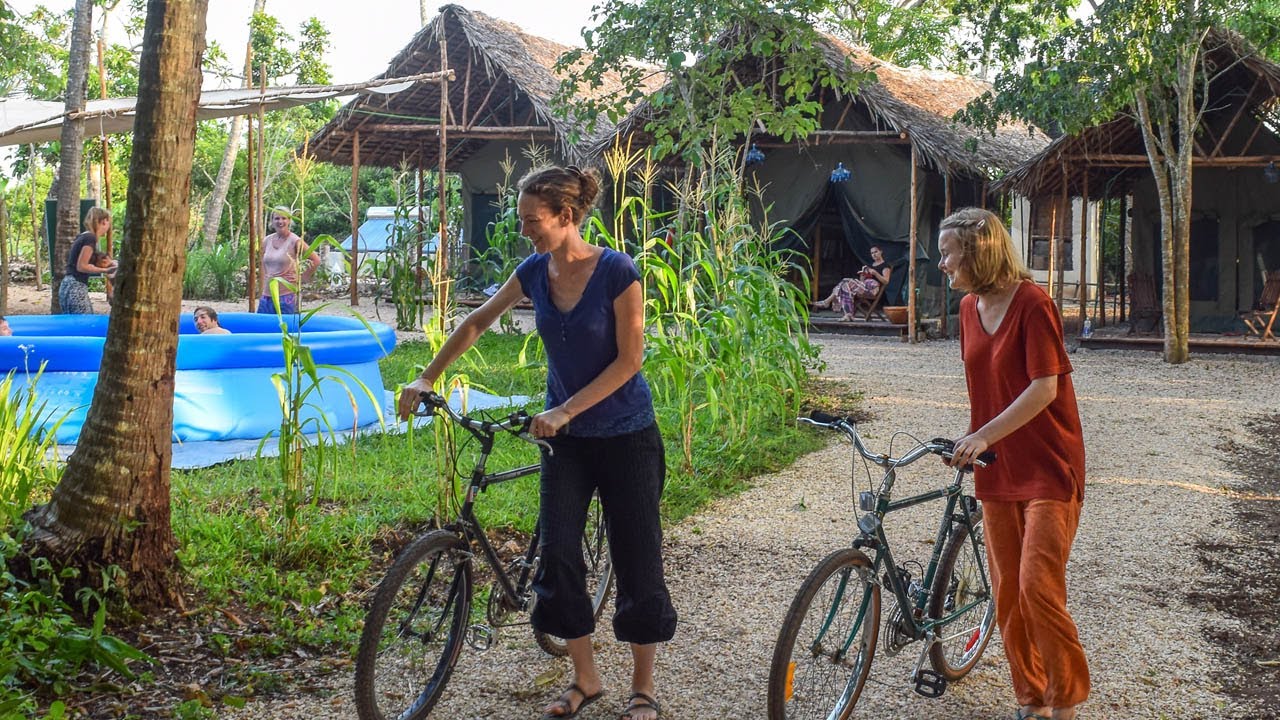 The World Unite! Mother Nature Forest Camp in Jozani, Zanzibar
