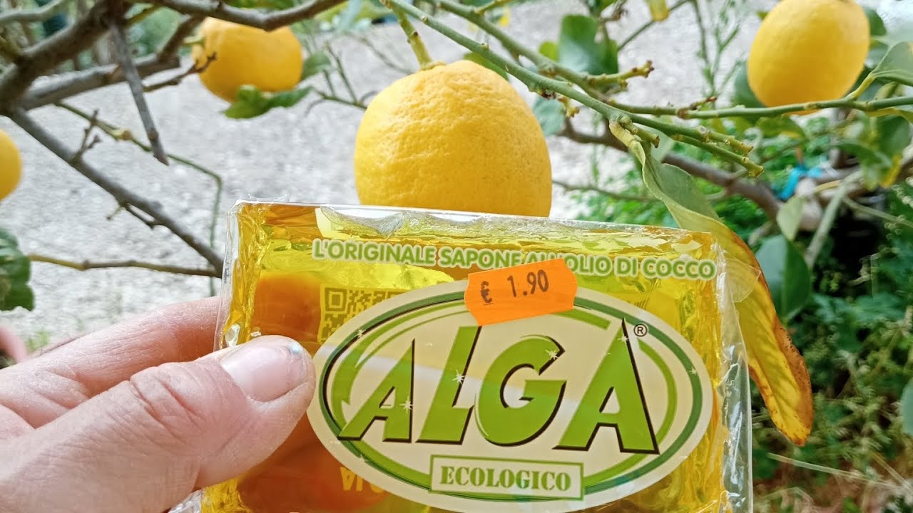 SAPONE MOLLE POTASSICO.,BIOLOGICO ; 5 PRODOTTI IN 1,OTTIMO ANCHE SUI LIMONI SOSTITUISCE I PESTICIDI😉