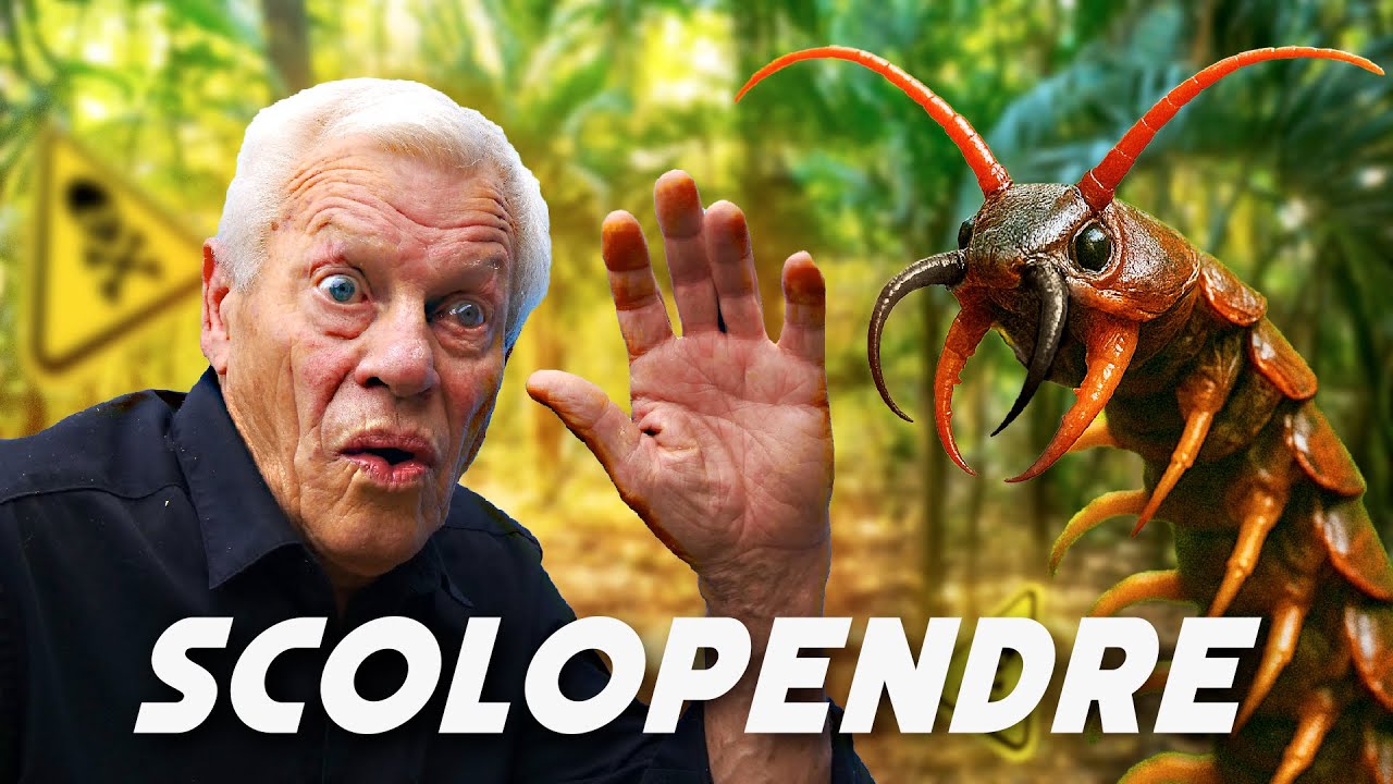 LE PRÉDATEUR CACHÉ SOUS TON LIT  😳 ... (et non, ce n’est pas une araignée)