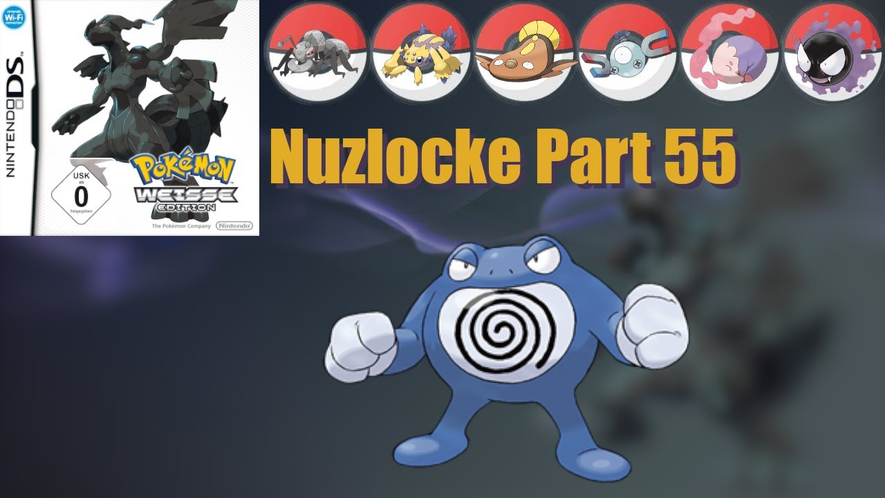 Die LETZTEN ENCOUNTER! Pokemon Weiss Nuzlocke Part 55