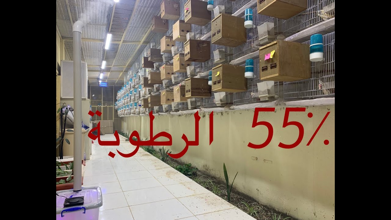جهاز ترطيب الهواء  تكوين الضباب للمحميات او للمنازل