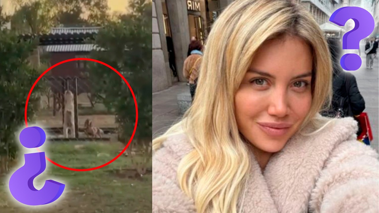 ¿QUIÉN CUIDA LOS PERROS DE WANDA NARA? Viajó a Milán y sus mascotas están encerradas en un canil