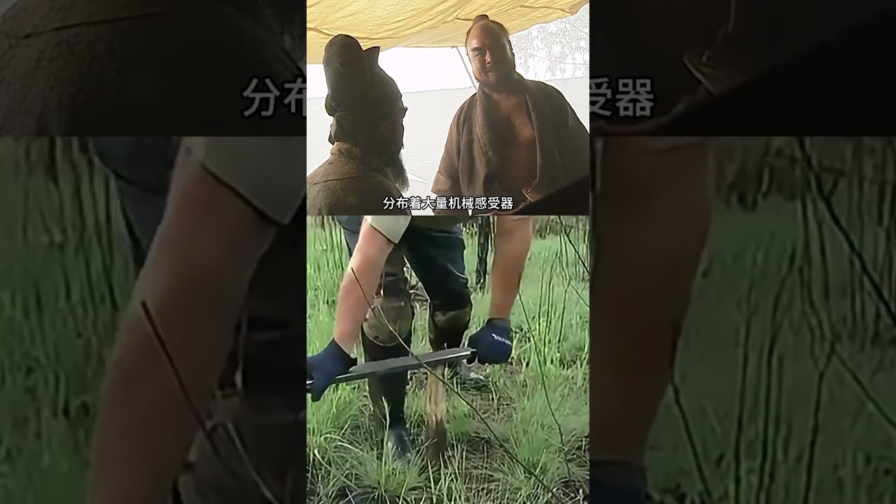 摩擦木头为什么会让蚯蚓爬上地面 #科普 #生物