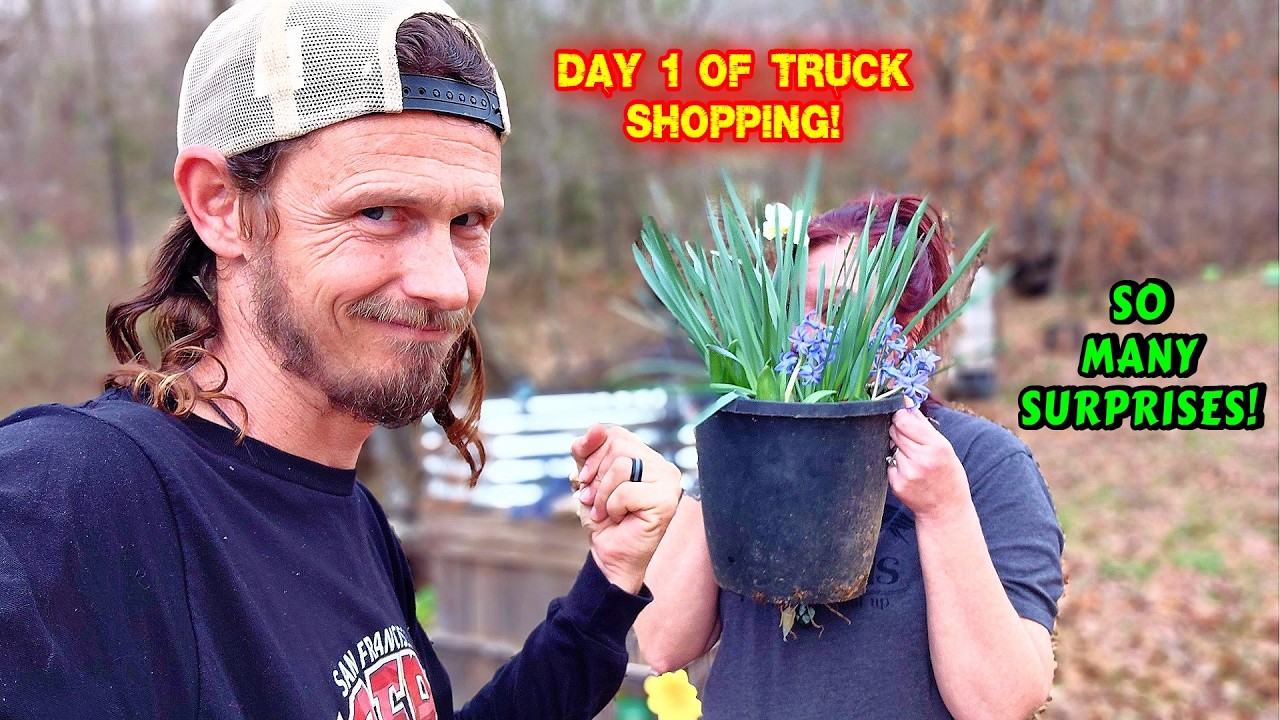 THIS IS JUST A LITTLE OVERWHELMING | vlog, couple, life, tiny house, homesteading, off-grid |