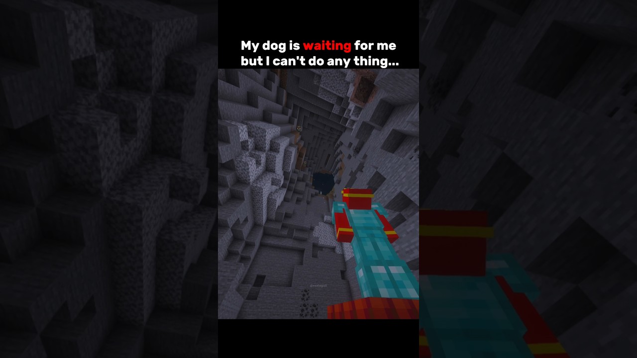 My dog is waiting for me but I can't do any thing...😢