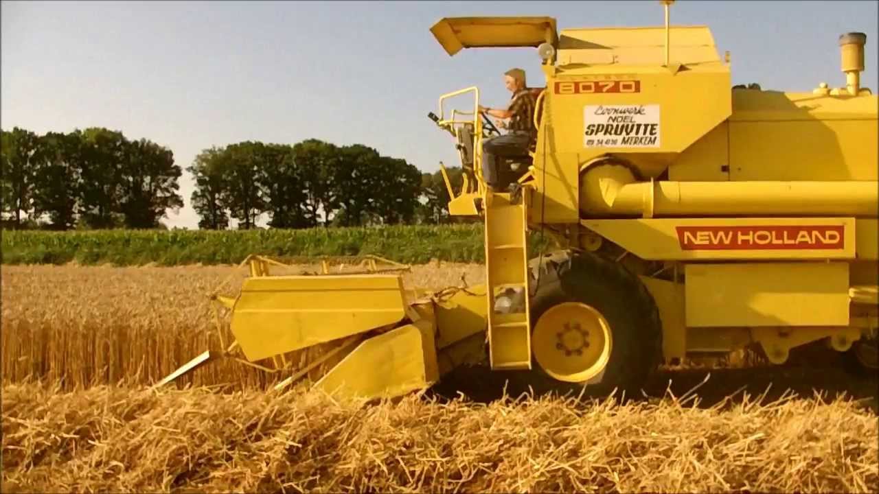 41. Wintertarwe maaidorsen met 2x New Holland 8070