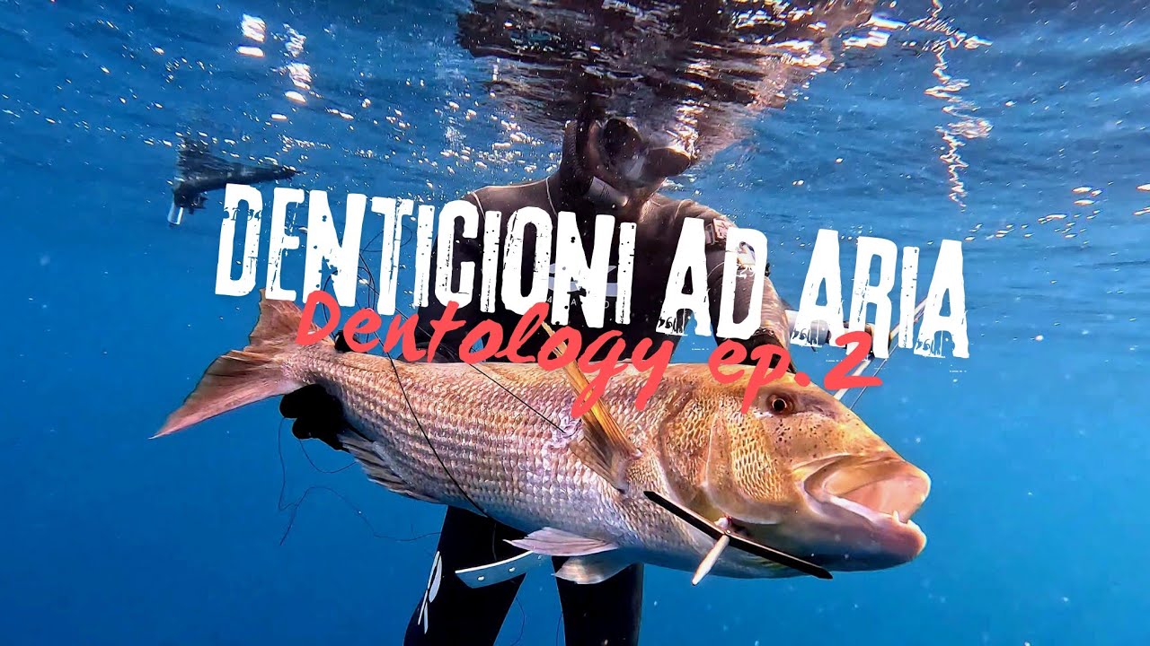 Il FUCILE da PESCA perfetto, o quasi! - Dentology ep.2