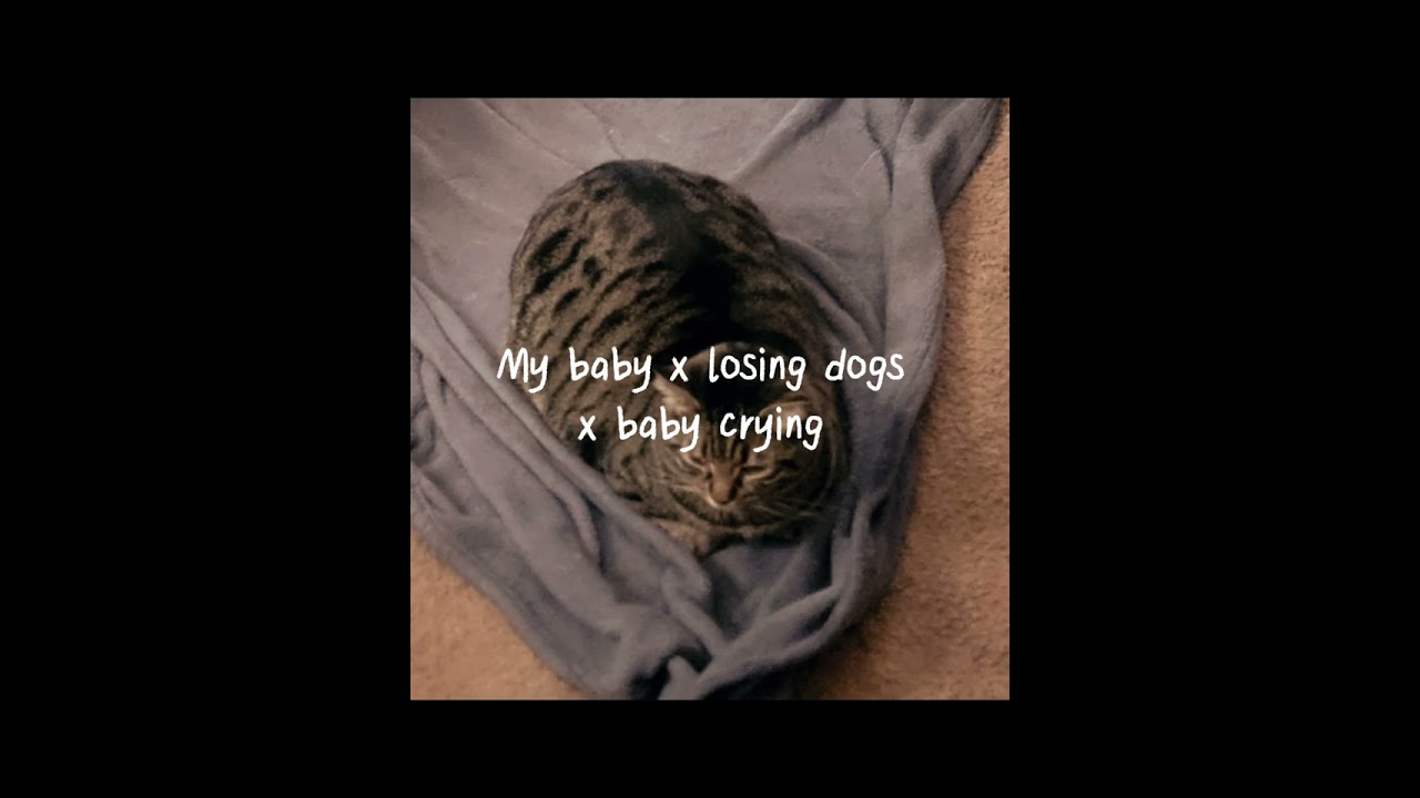 My Baby X Losing Dogs X Baby Crying