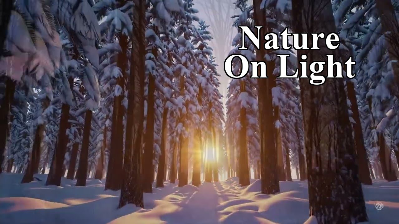 Winter Soft Ambient - Golden Hour Forest - Stress Relief (Extended Mix)