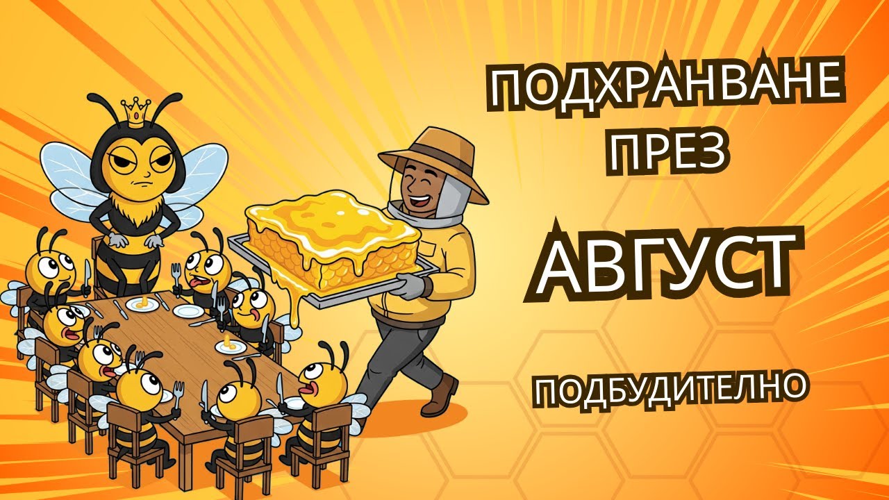 Подбудително подхранване през Август!