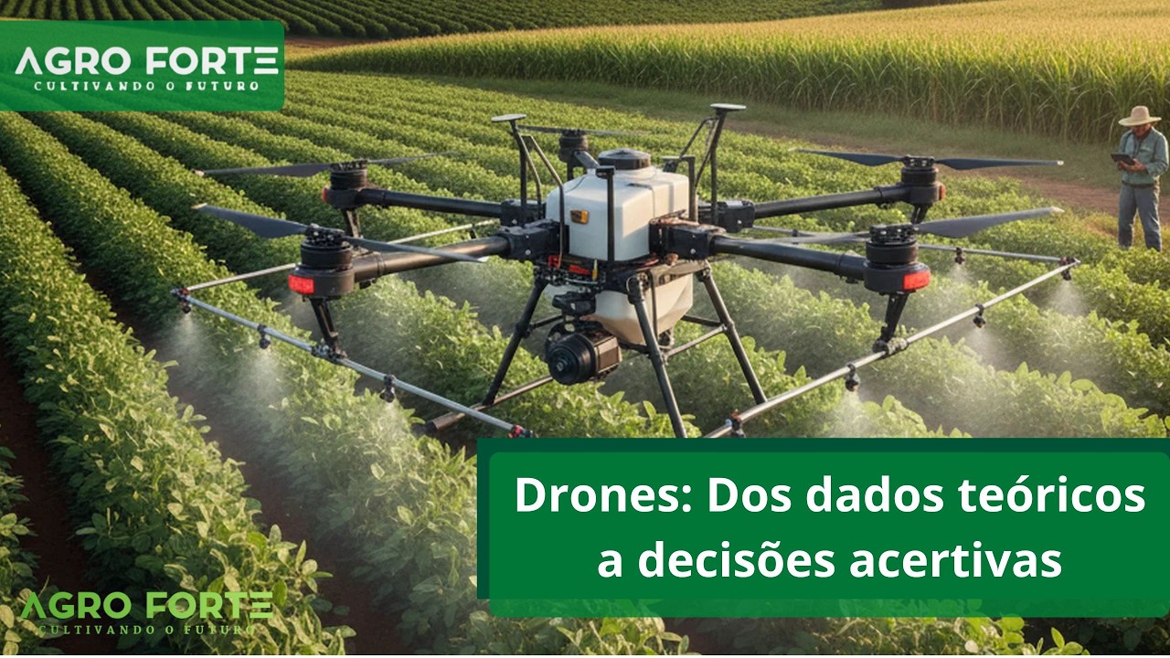 Drones: Dos dados teóricos a decisões acertivas