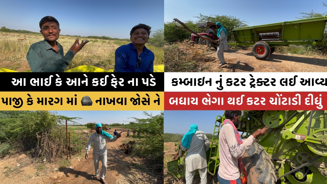 રાયડો માં કમ્બાઈન આવી ગયું કર્યા શ્રી ગણેશ 🔱॥ #goswamifarmingvagad #viralvideo #gujju #viral 