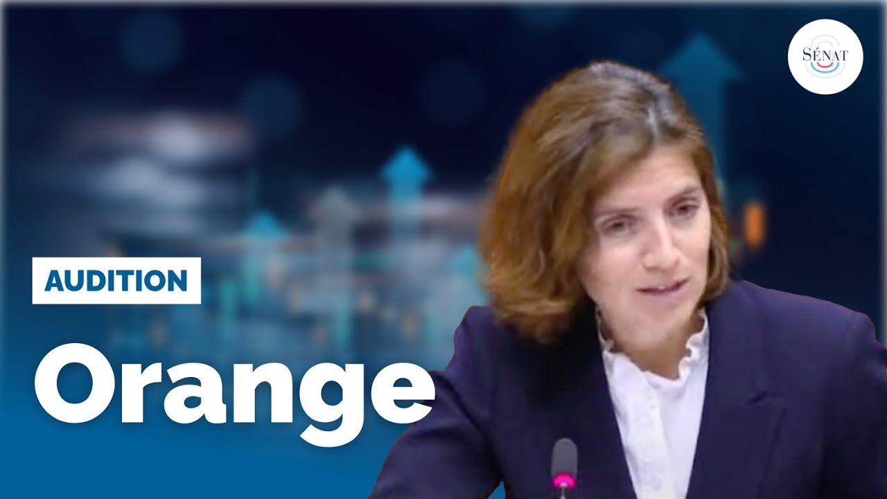 Aides aux grandes entreprises : audition d'Orange