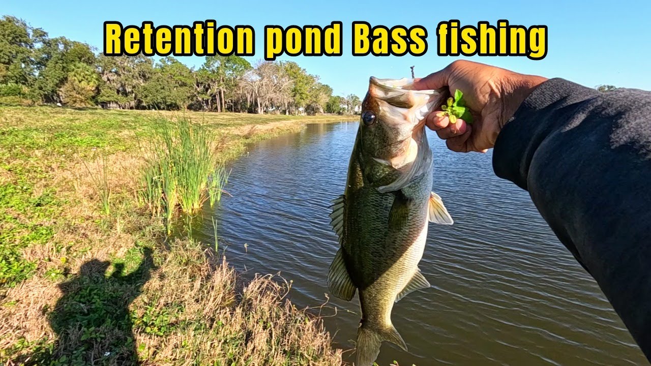 Retention pond MONSTER