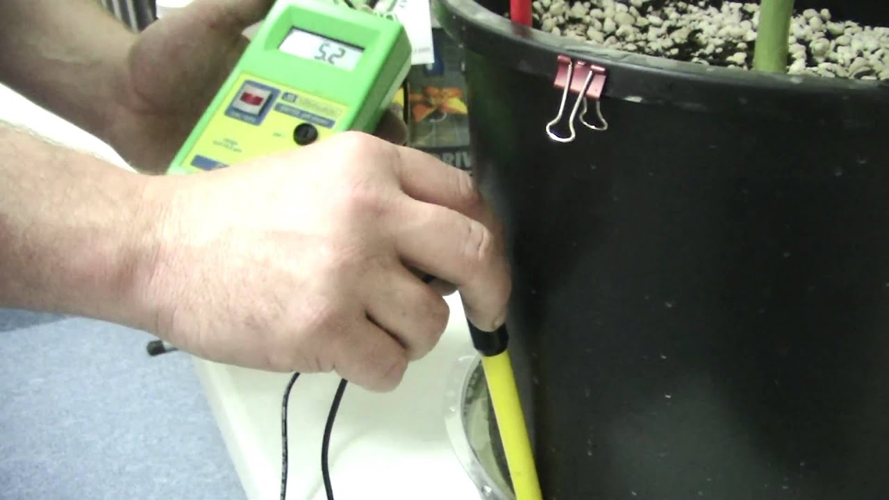 Medical Marijuana Minute- How to test run off (pH)