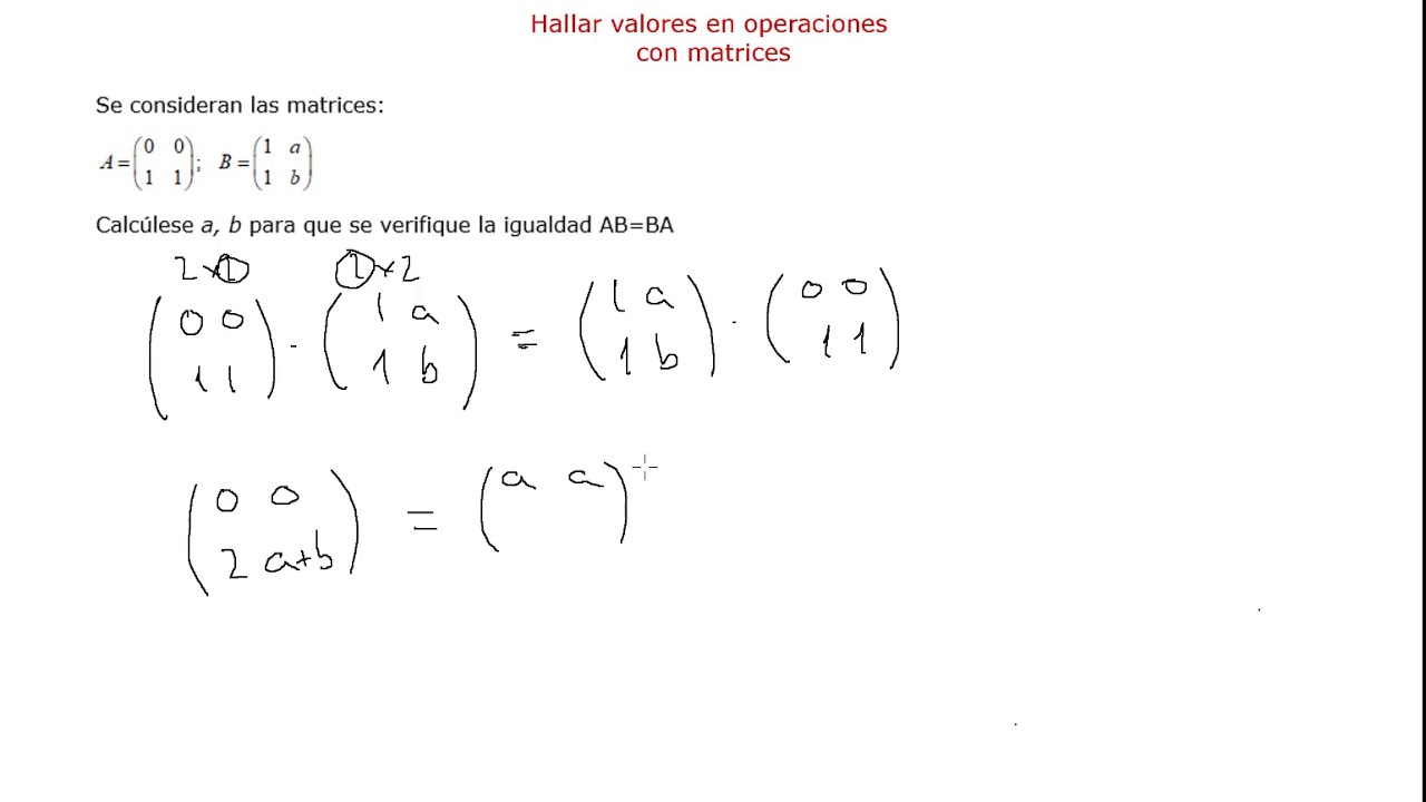 Hallar valores desconocidos en operaciones con matrices (EvAU resuelto)