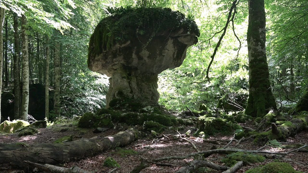 EL BOSQUE ENCANTADO DE URBASA