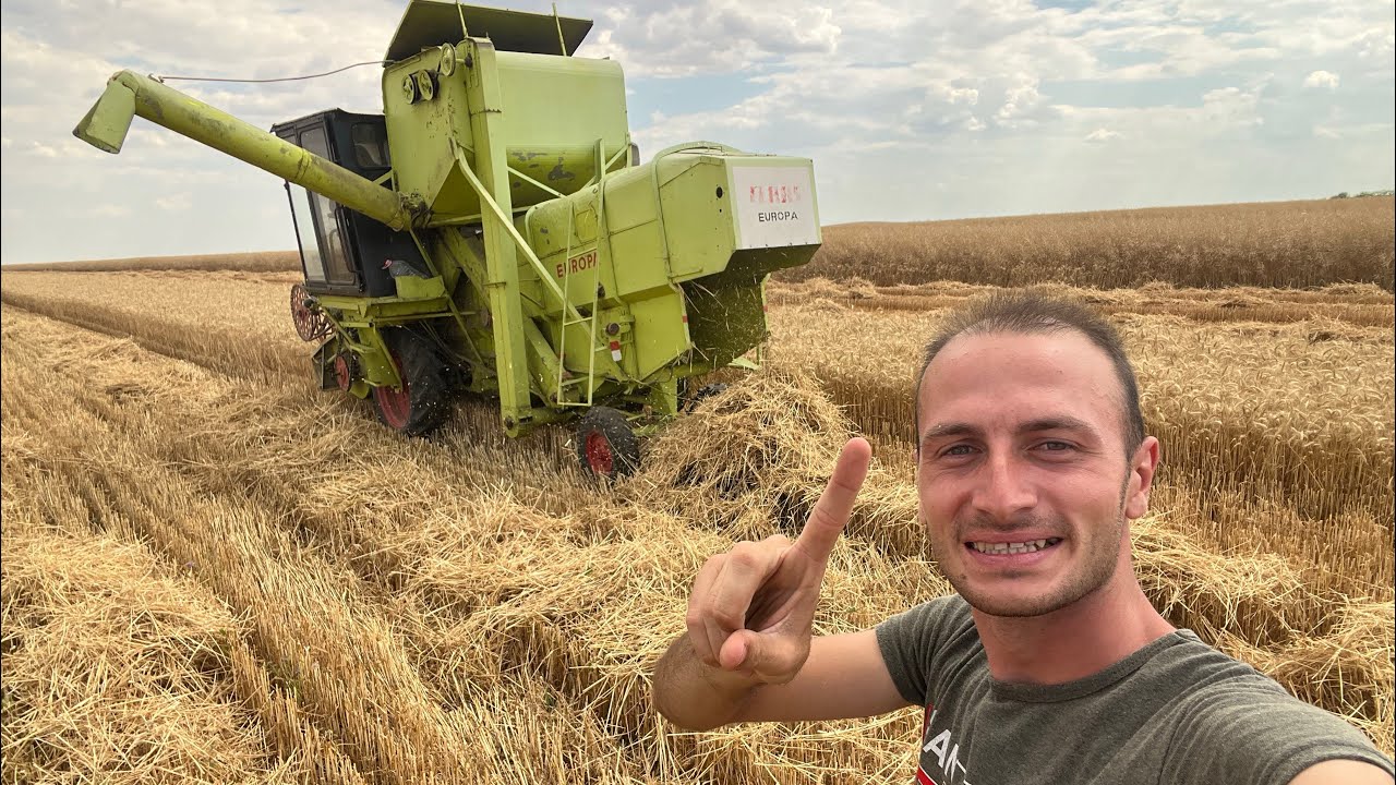 Am început campania de recoltat grâu 2025!