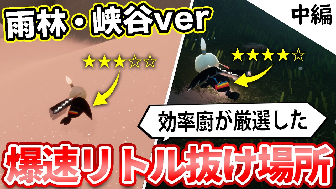 【★5評価】雨林と峡谷の超便利で時短になるリトル抜けポイント集【sky星を紡ぐ子どもたち】