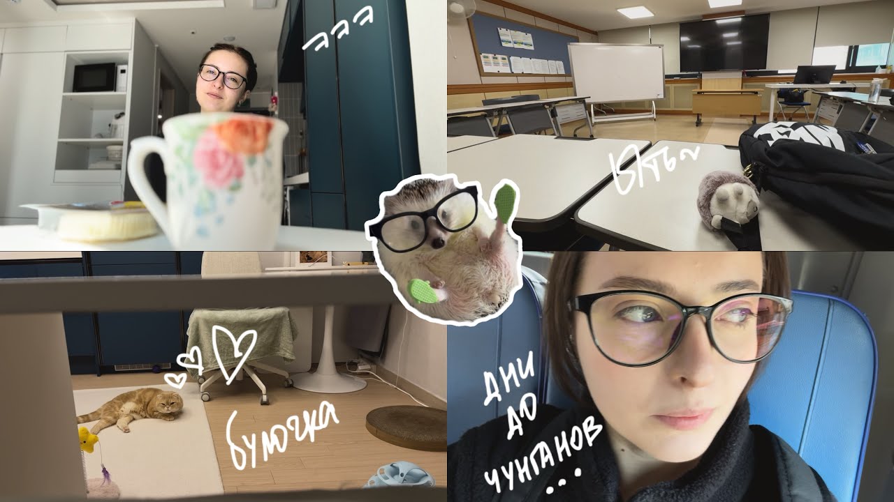 KOREA VLOG DIARY|3 дня живу с кисой/подготовка к промежуточным экзаменам/с окном лол|31.03-3.04.2025