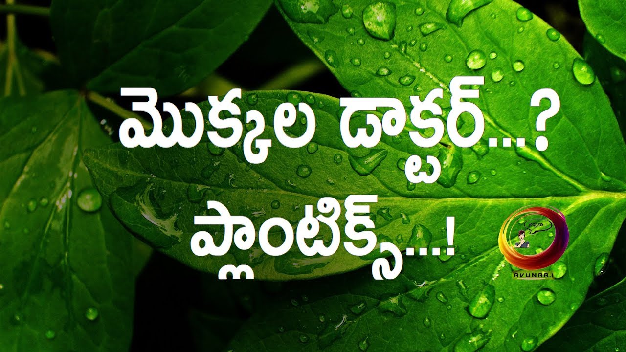 Plants Doctor - Plantix