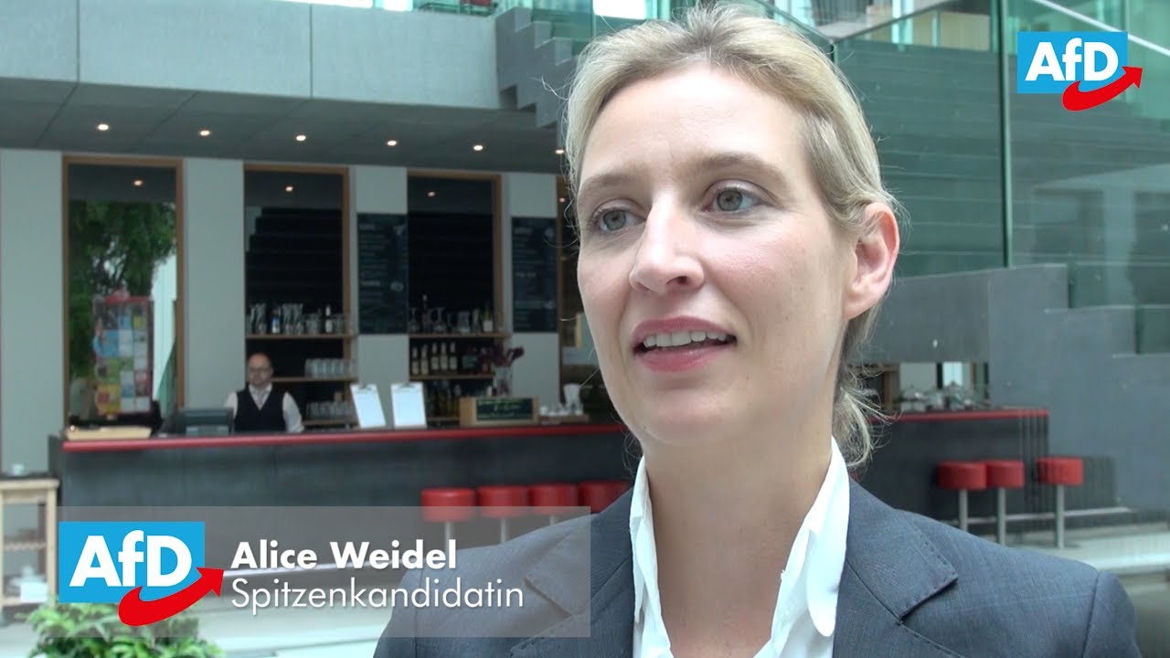 Alice Weidel - Linksextremismus/G20 12.07.17