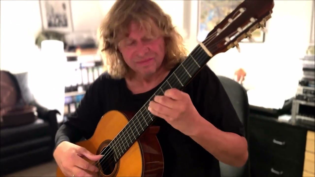 Howard Carpendale -Fremde oder Freunde- Gitarrencover