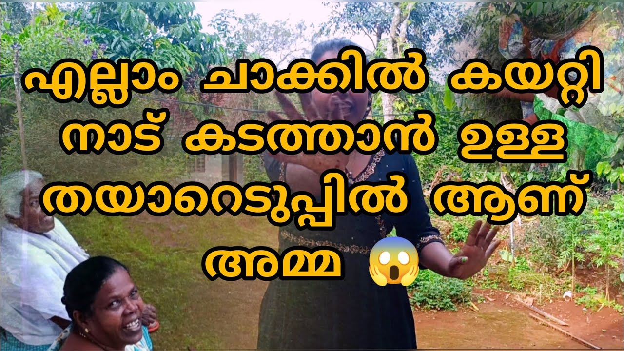 അമ്മടെ കൃഷി വിളവെടുപ്പ് ഇത്ര കരുതിയില്ല 🥰🥰🥰#farming #shortvideo #love