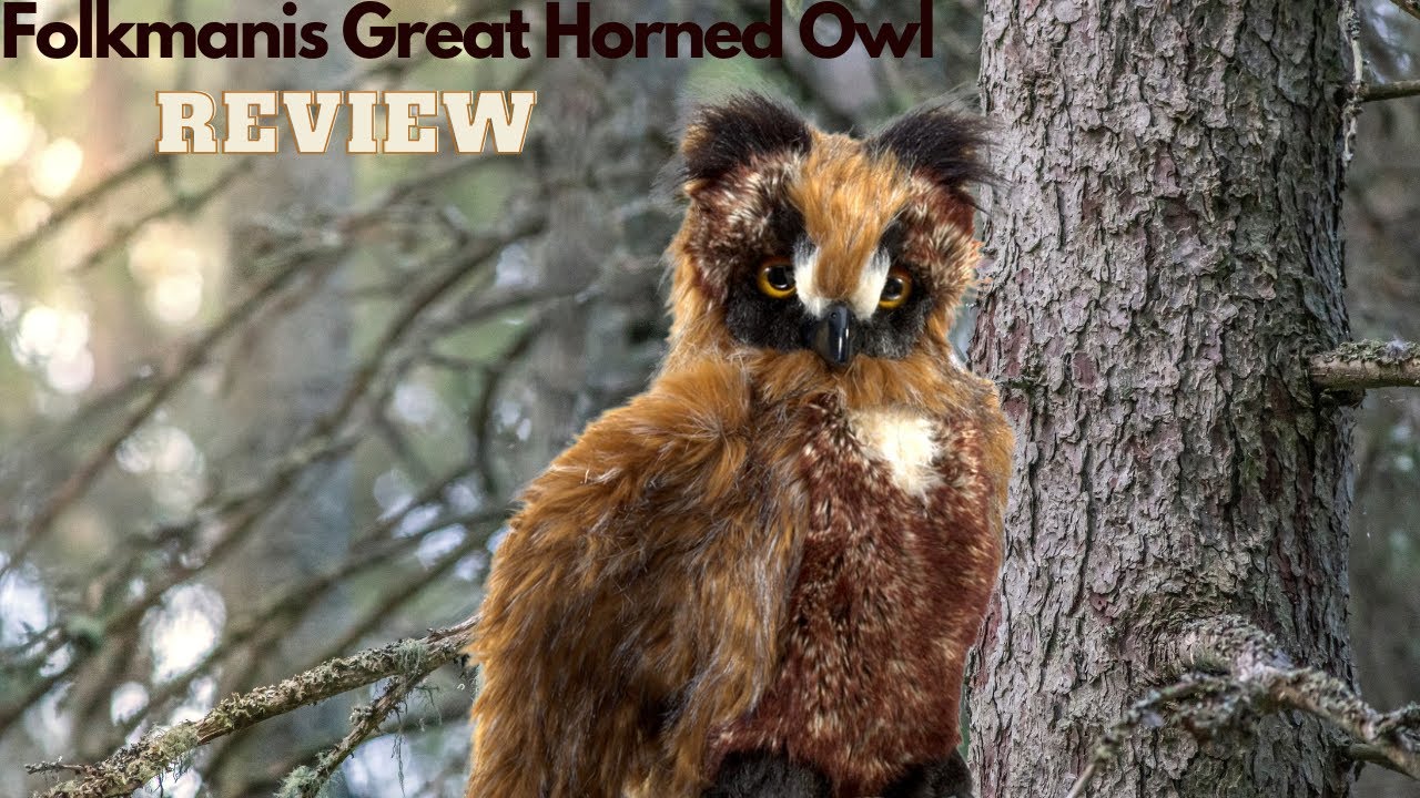 Folkmanis Great Horned Owl Review
