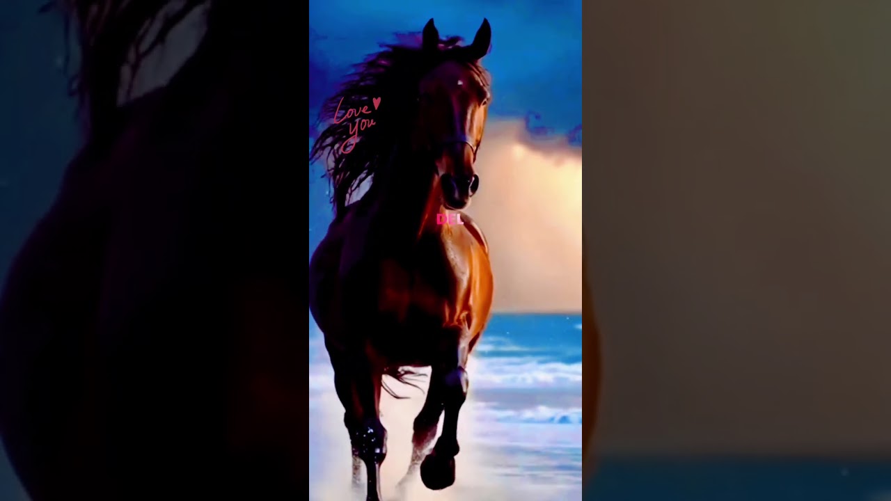 🎼Lucero de Frente Clara🎹🎙️🎚️❤️💖 Canción de mi Autoría 🎼🎹 #Gabo #Gabmed 