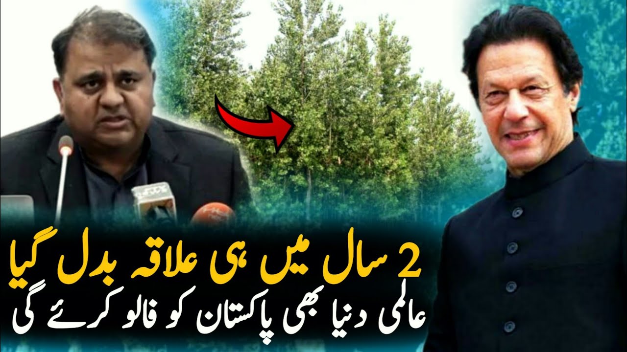 After 2 Years Plantation Tree In Jehlum  | Pakistan | Trees |Imran Khan Latest News