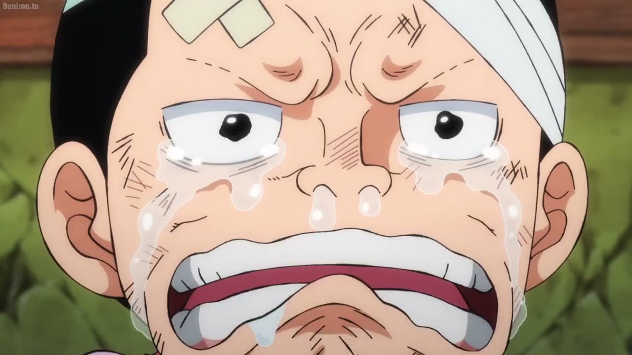 Luffy is alive!, momonosuke tell to everybody that luffy is alive.