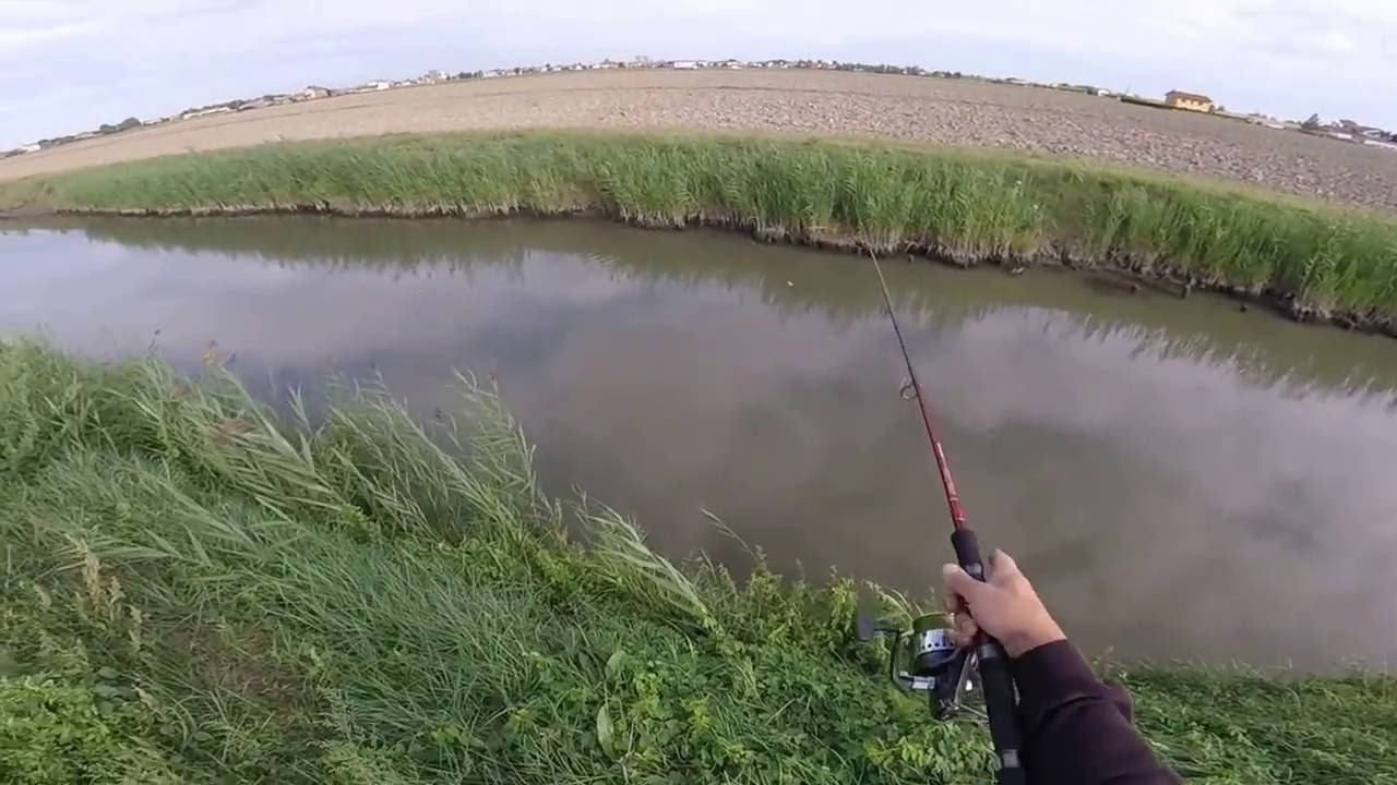 9kg-os harcsa Rapala J13