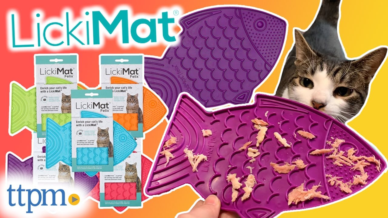 Kitties Review the LickiMat Classic Felix Cat Slow Feeder!