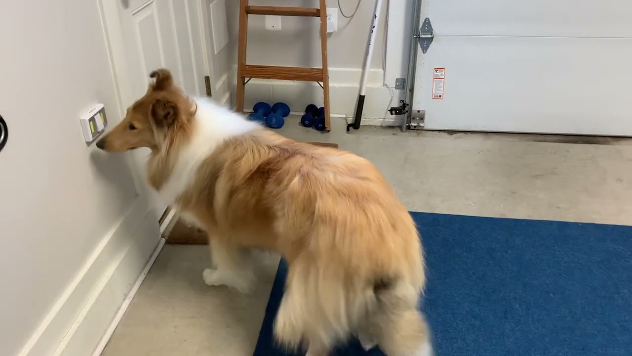 Pru does Performance Level tricks