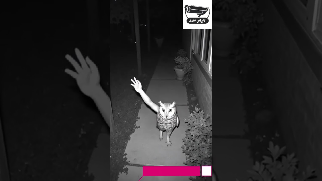 3:29 AM: The Secret Animal World Revealed (CCTV AI) #aicreativity #animalrescue #aistories