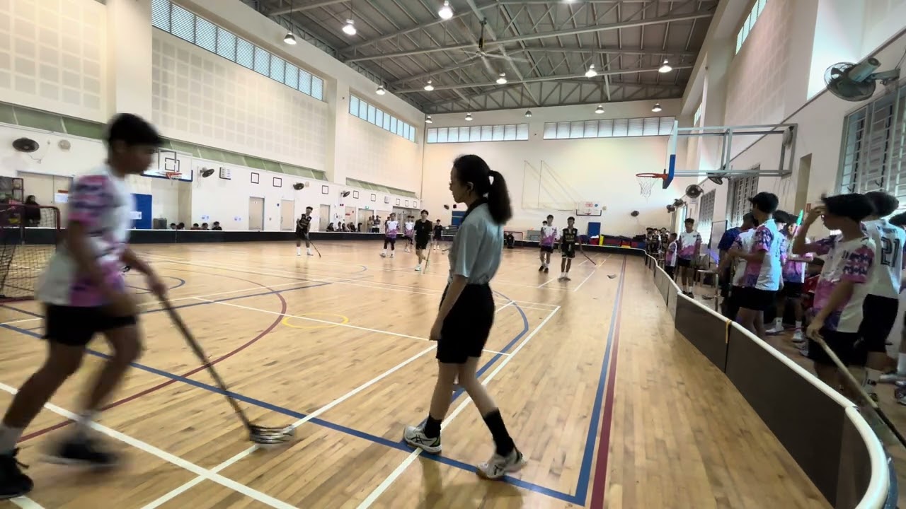 ravens vs star