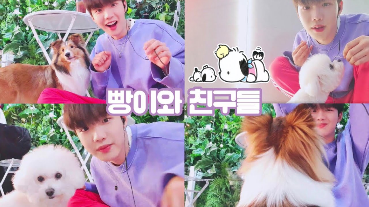 [임영민] 빵이와 친구들