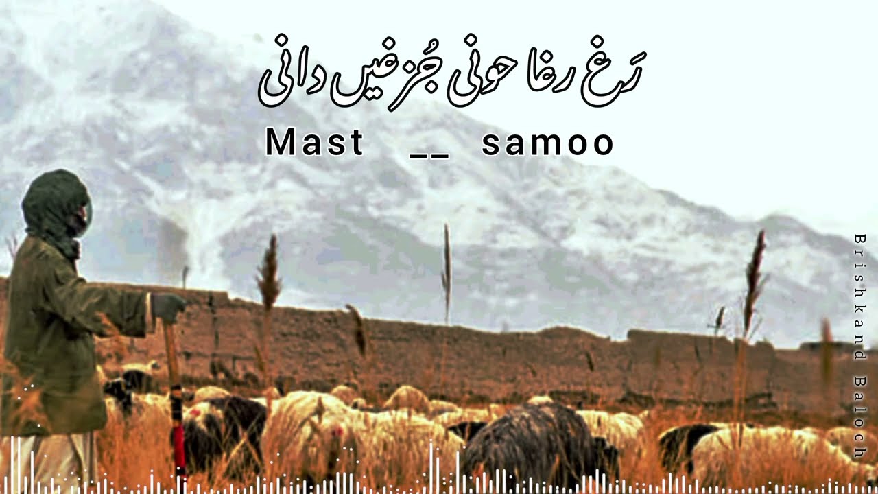 Balochi song | سمو تھئ گوما مِنتوں بازیں ۔۔۔ | singer : Saeed Buzdar | poetry : zorakh Buzdar | 🎧🎶