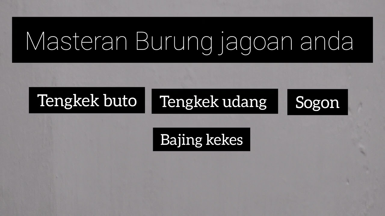 MASTERAN MURAI BATU YANG MUDAH DI TIRU √ #TENKEKBUTO#TENGKEKUDANG#SOGON#BAJINGKEKES