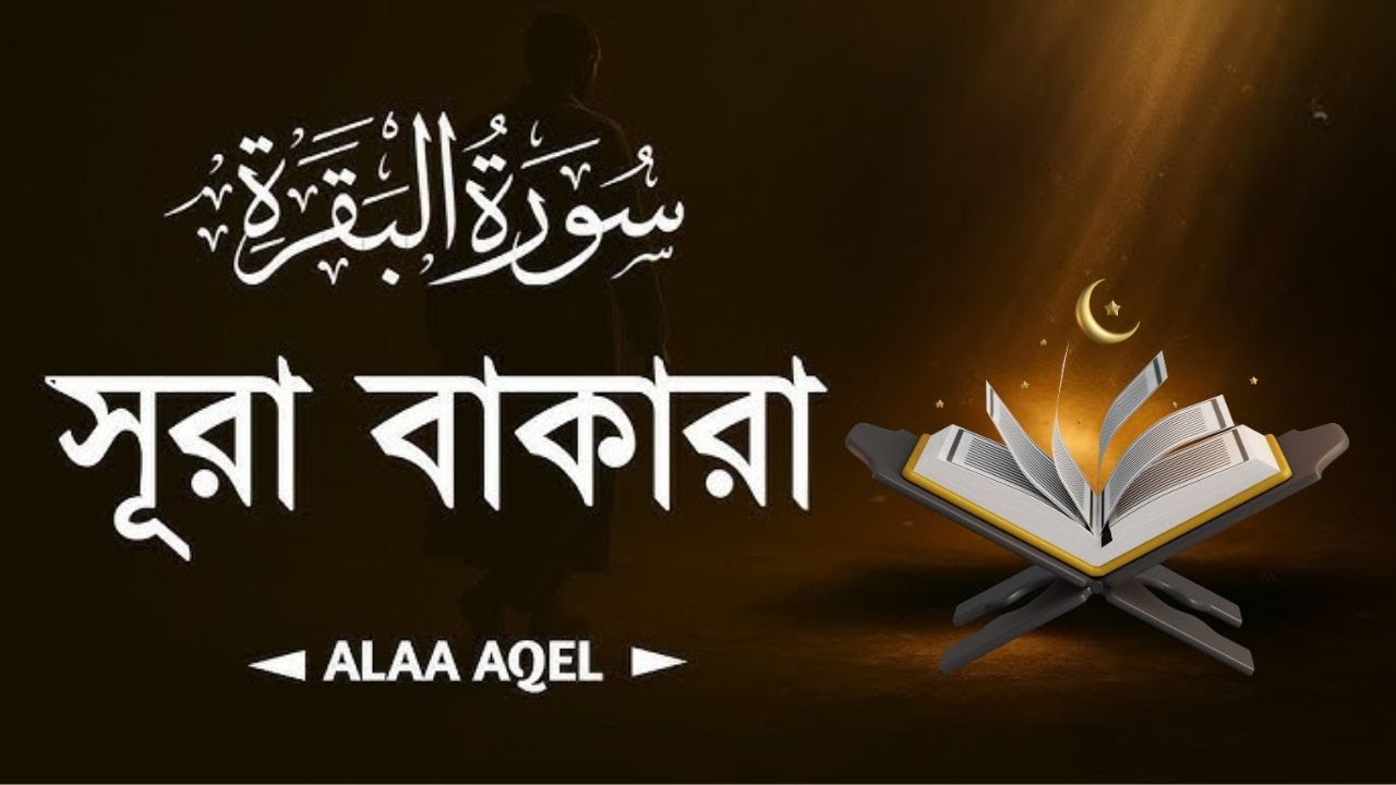 সূরা আল বাকারা-Surah Baqarah( سورة البقرة)Best Reaction  Quran Tilawat by Alaa Aqel