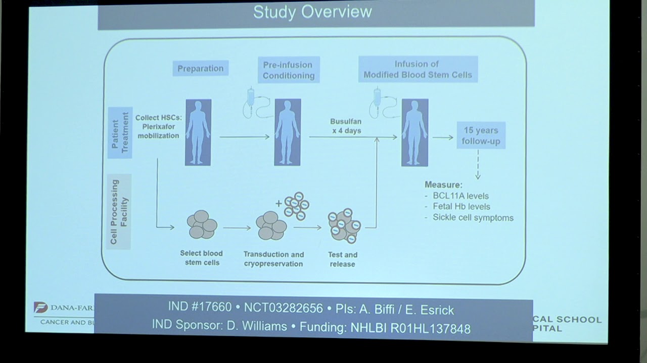 Genetic targeting in sickle cell disease