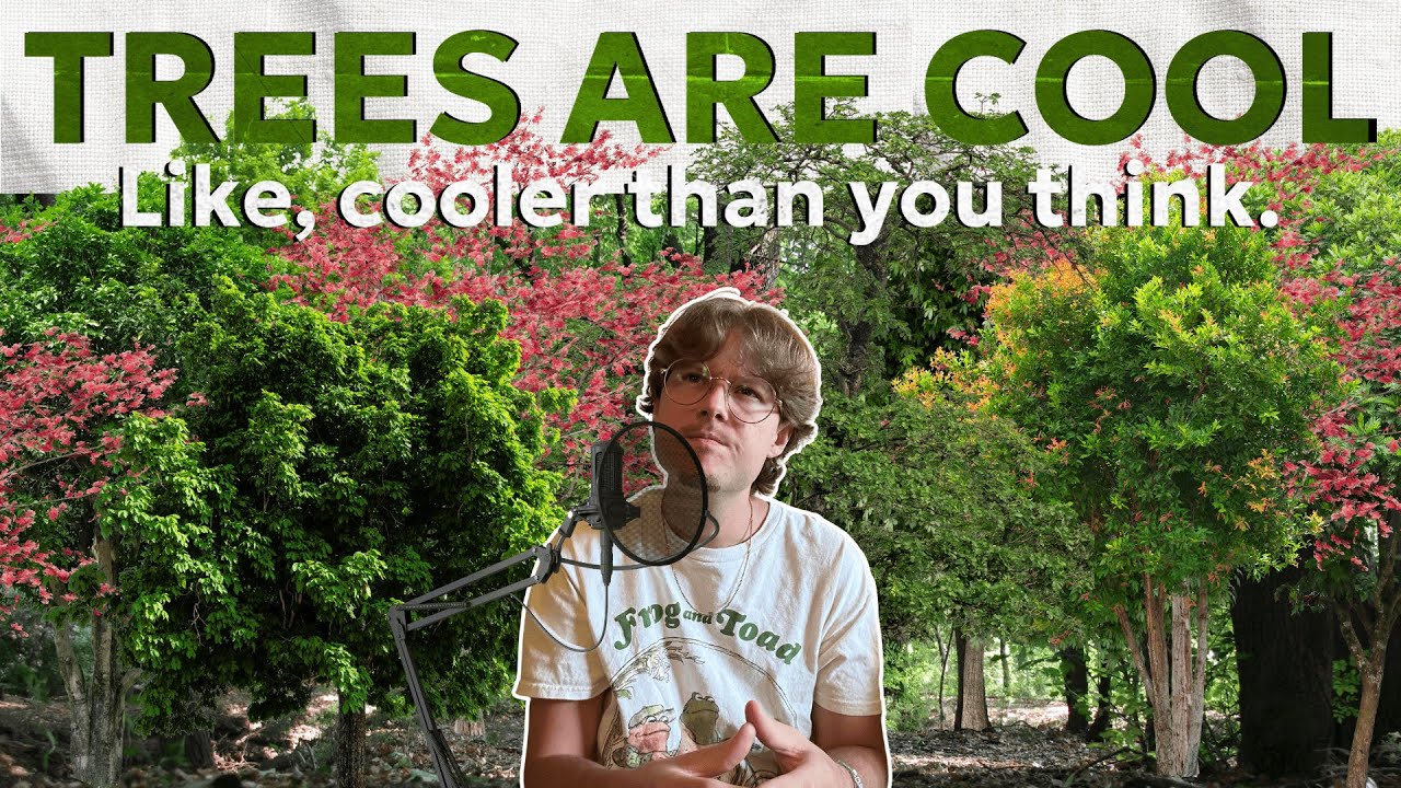 Change the Way You Think About Trees