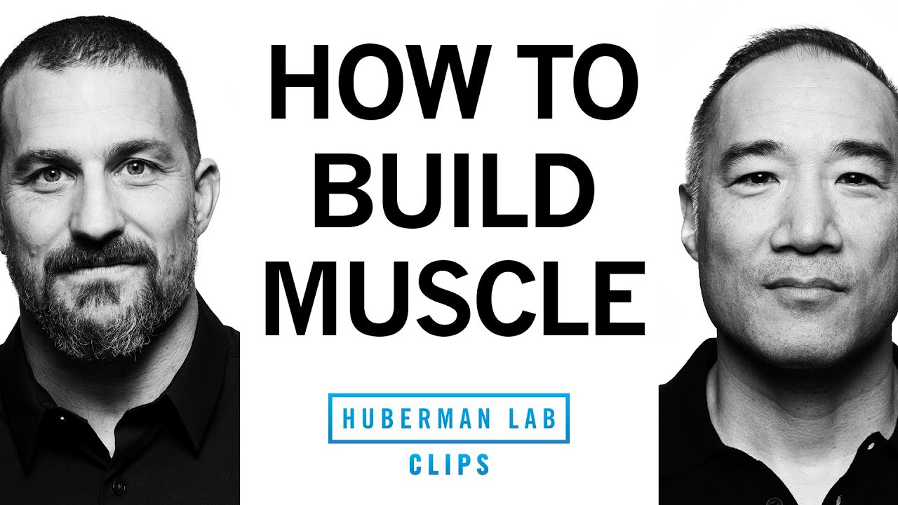 How to Maximize Muscle Protein Synthesis | Alan Aragon & Dr. Andrew Huberman