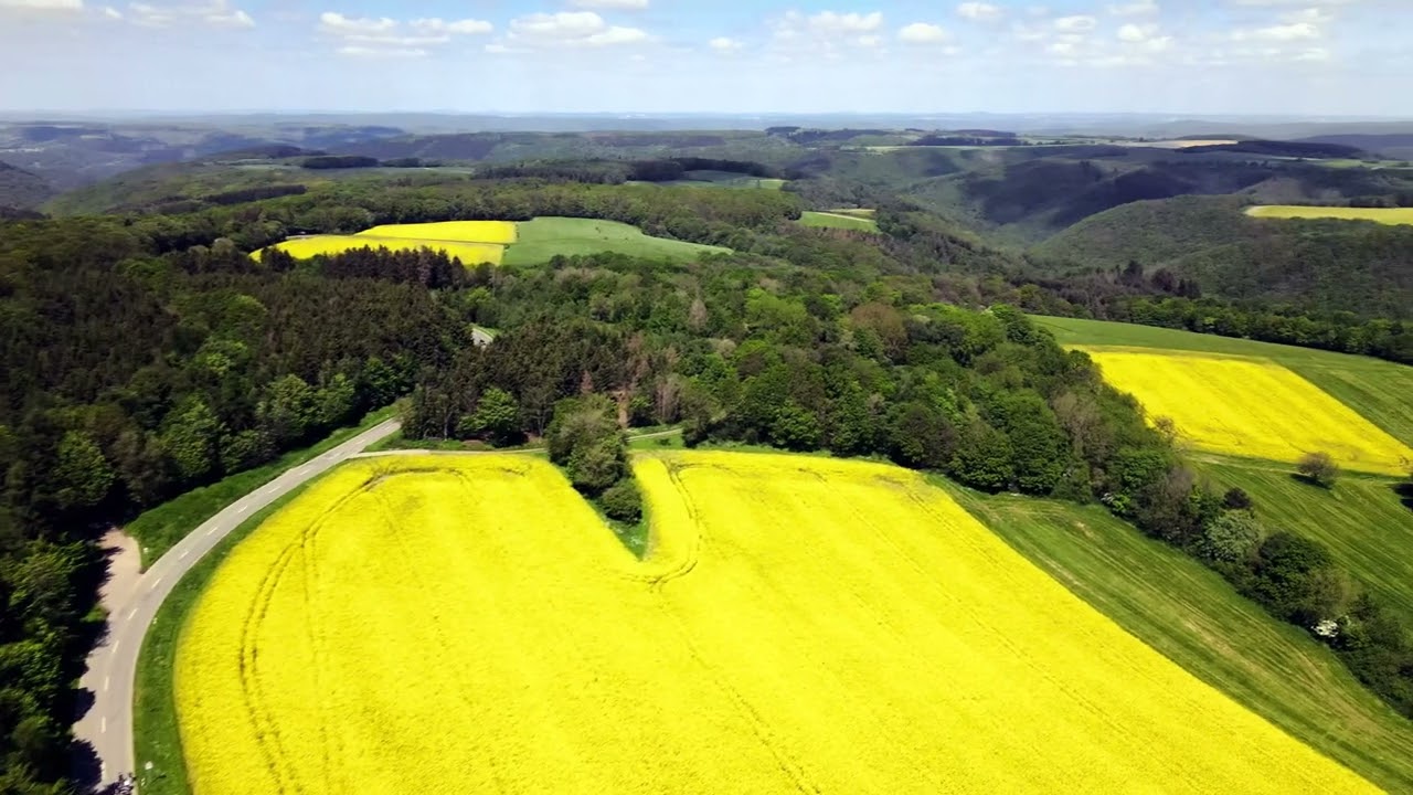 Drohnenflug im Hunsrück