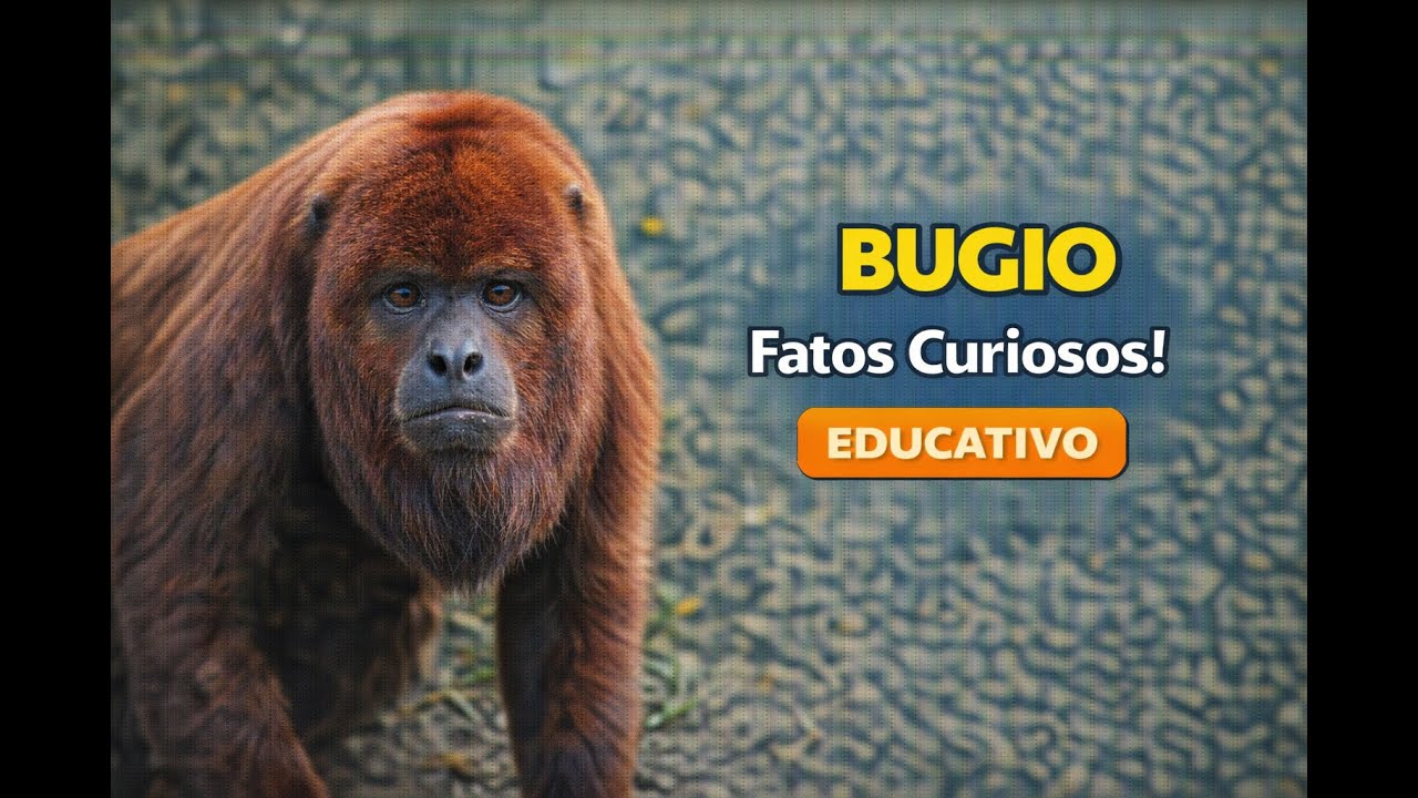BUGIO: SEGREDOS E CURIOSIDADES SURPREENDENTES...
