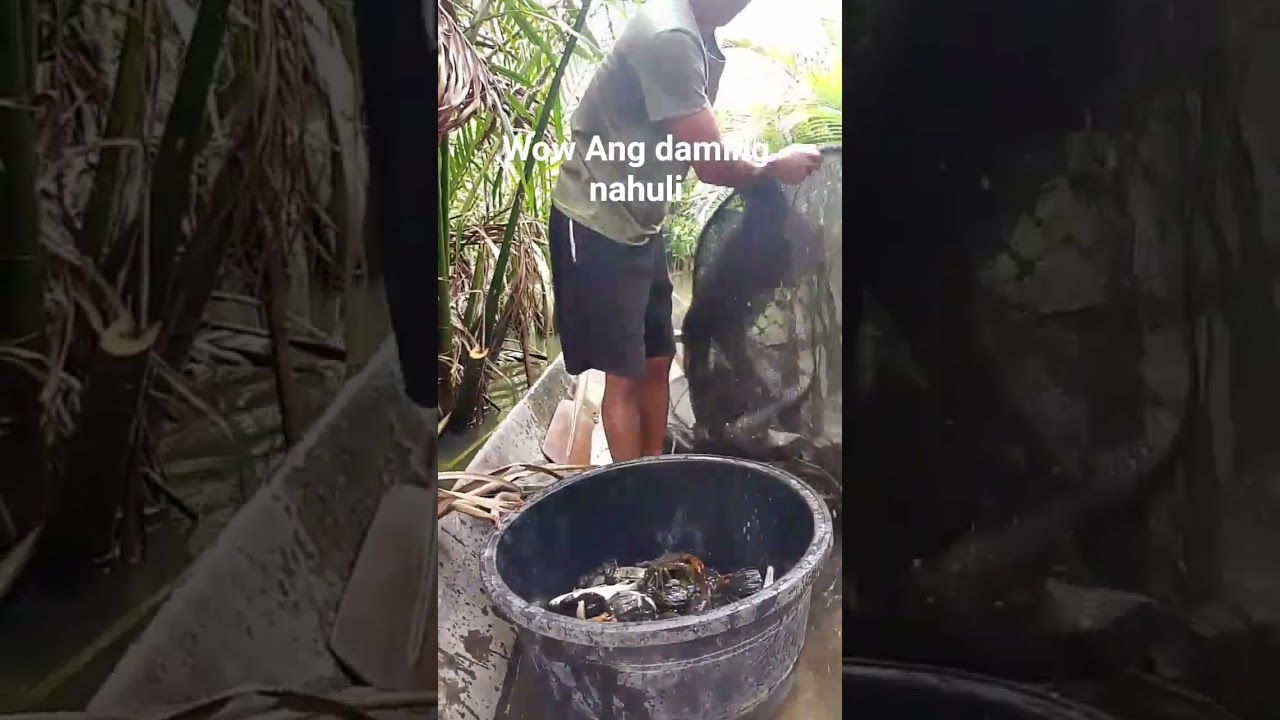 maraming huli