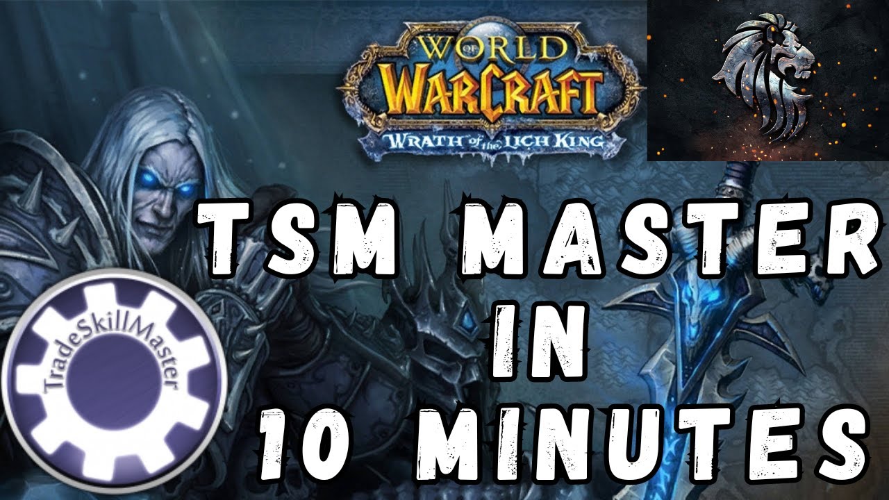 TSM for WotLK: Easy Setup & Tips in 10 Minutes! #warmane #wotlk
