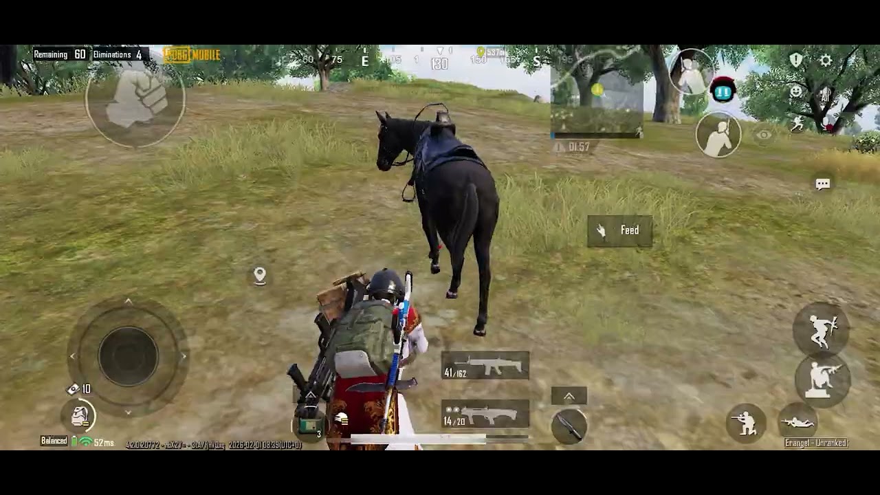 Winning with a horse in PUBG mobile 